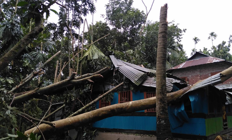 20 dead as Cyclone Bulbul smashes into India, Bangladesh coasts