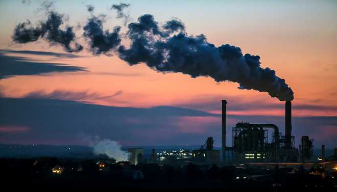 New Zealand makes ‘zero carbon’ target law