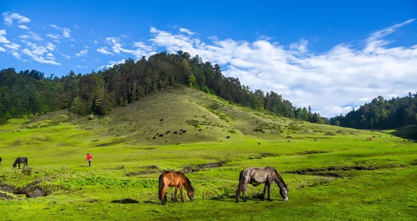 खप्तडमा पर्यटकका लागि सुविधा सम्पन्न आवास गृह निर्माण हुँदै