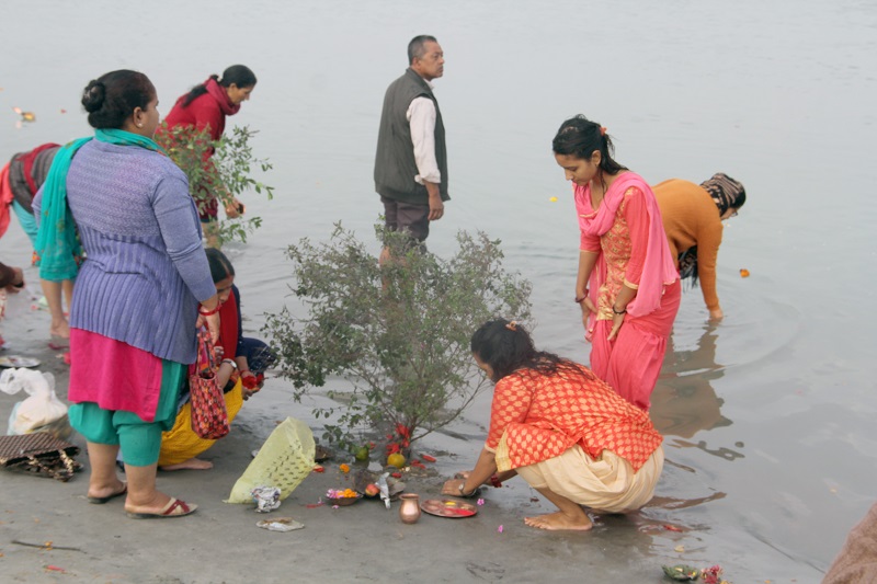 हरिबोधिनी एकादशीमा तुलसीको विवाहका लागि  पुरोहितको अभाव