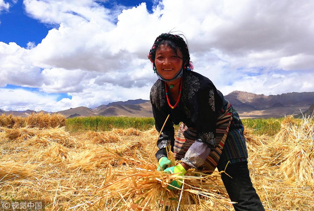 Companies help over 82,000 poor people in Tibet