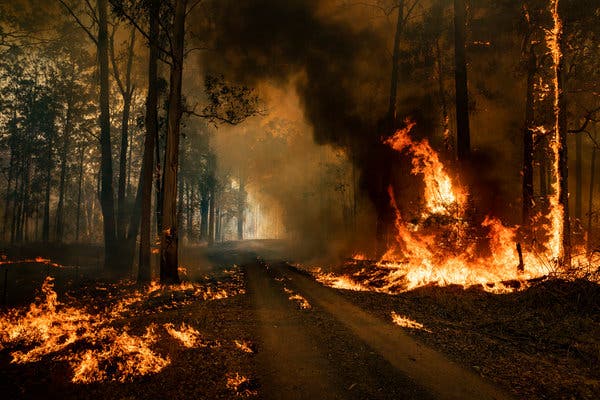 आगलागीका कारण अष्ट्रेलियाका ३० हजार विस्थापित