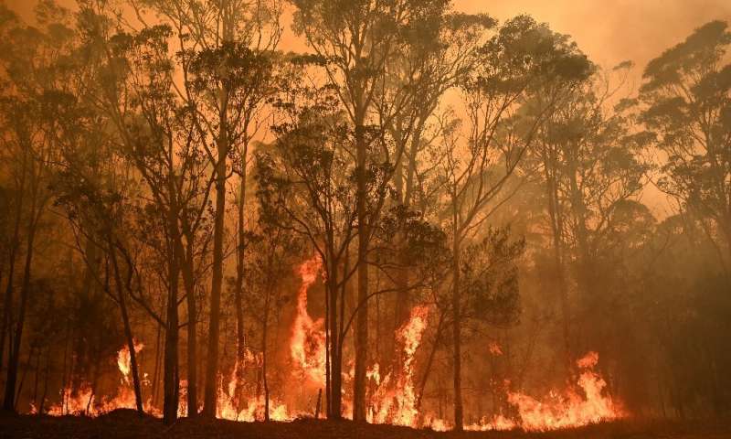 Australia’s bushfire crisis turns off tourists