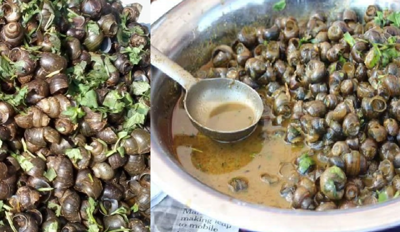घुँगीको माग बढ्दो, माछासँगै व्यावसायिक पालन गर्न सकिने