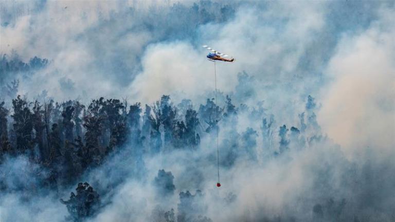 अष्ट्रेलियाको धुँवा दक्षिण अमेरिका पुग्यो