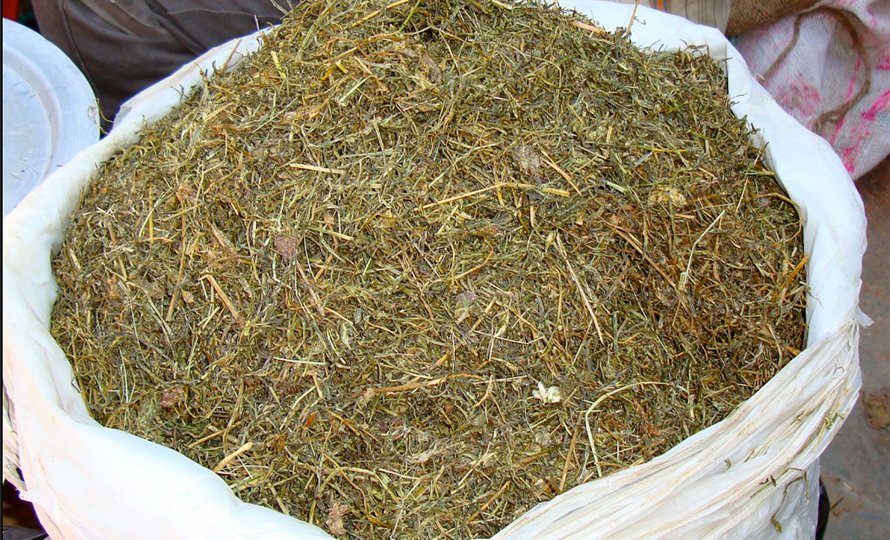 चिसो छल्दै जिम्बु र भोटेजिराको व्यापार
