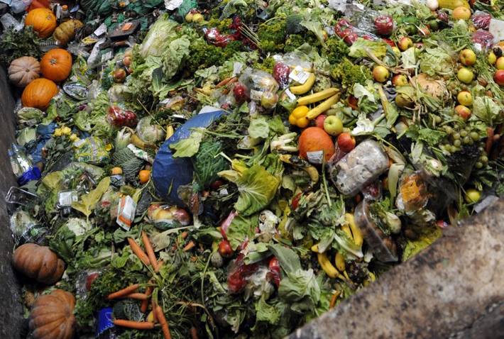 Japan generates electricity by recycling waste food