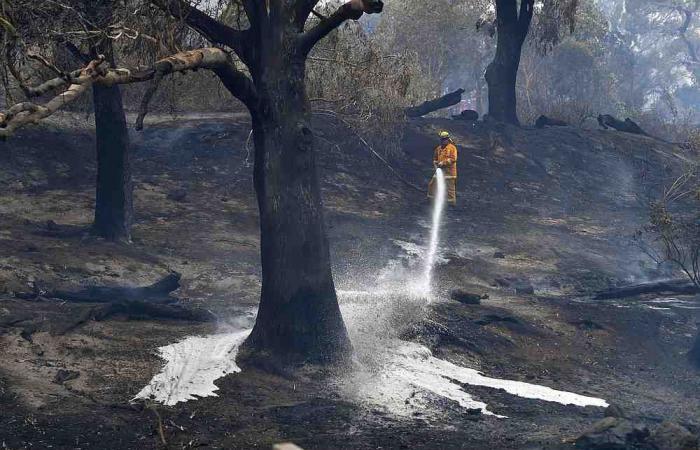 8 dead, several missing in Australian bushfires this week