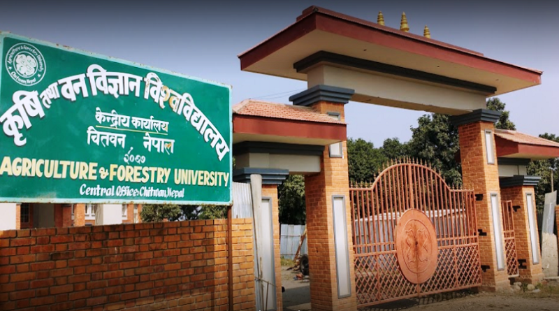 रामपुरमा विद्यार्थीबीच झडप