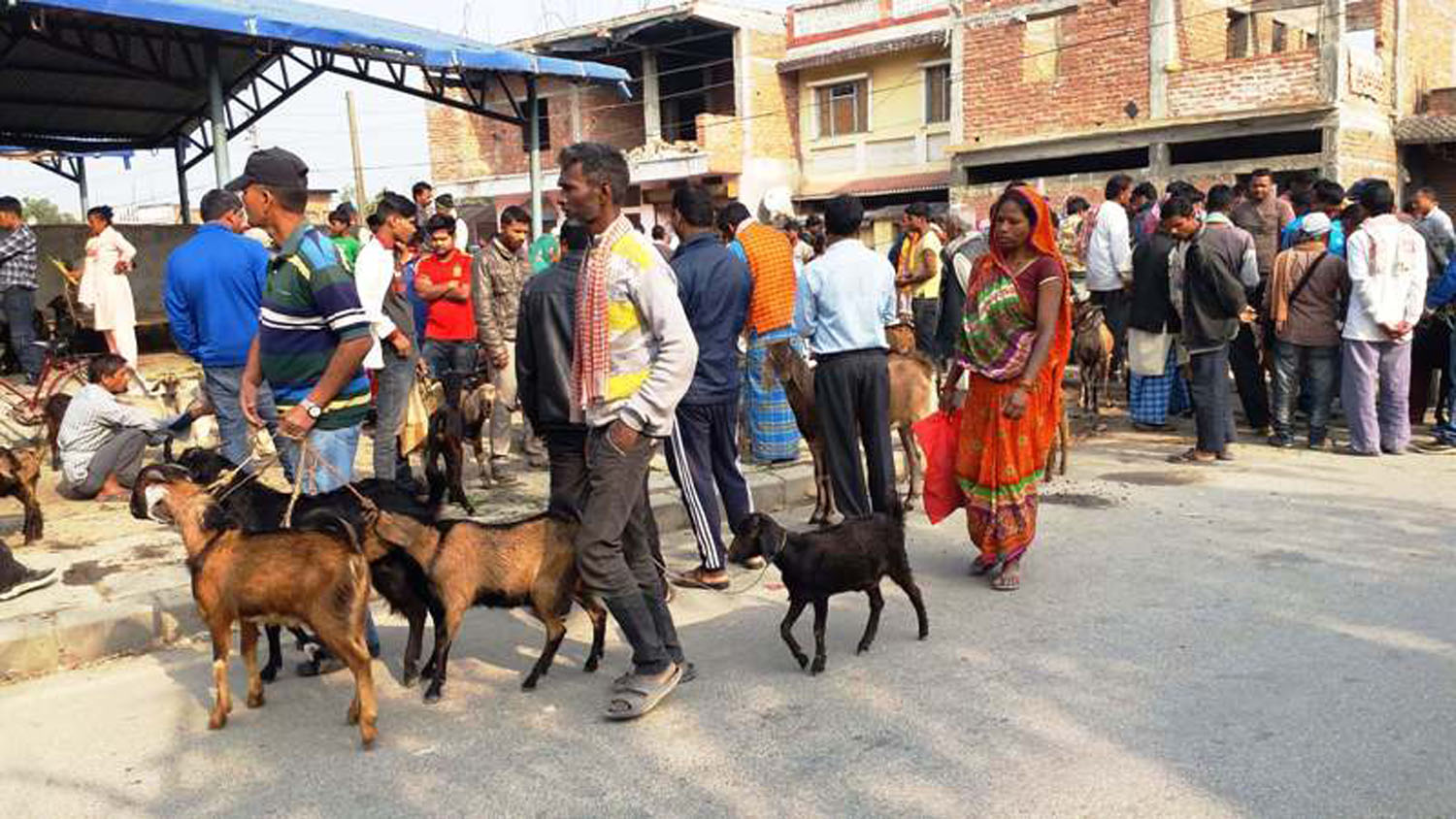 खसीबोकाको कारोवार बढ्यो