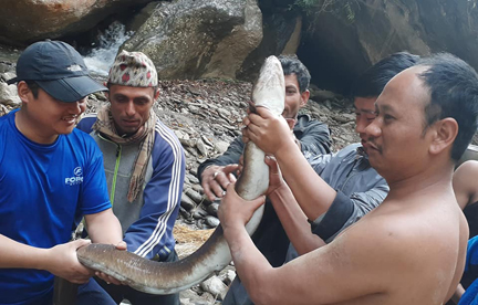 बाम माछासँग रमाउँदै युवा