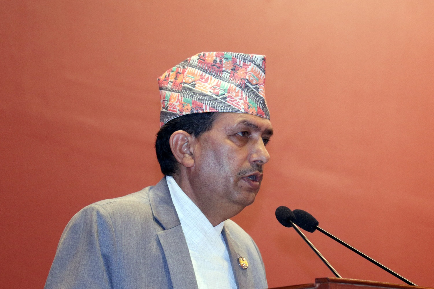 पिसिआर विधिलाई प्राथमिकता : मन्त्री ढकाल