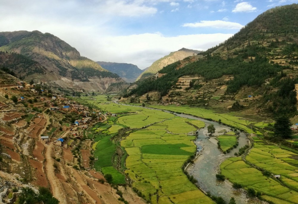 सिँजा गाउँपालिकाले विशेषज्ञ चिकित्सक लिएर मेडिकल मार्च शुरु