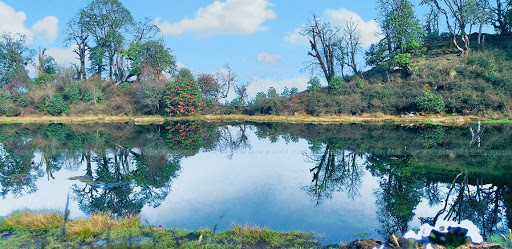 भटाभट मर्दै बराहपोखरीका राता माछा
