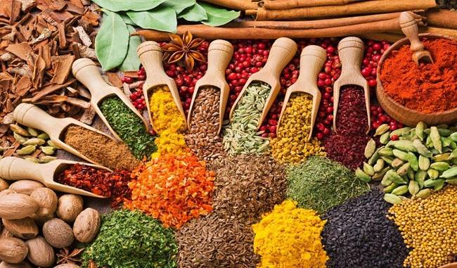 कर्णालीमा खाद्य वस्तुको अनलाइन होम डेलिभरी सेवा शुरु