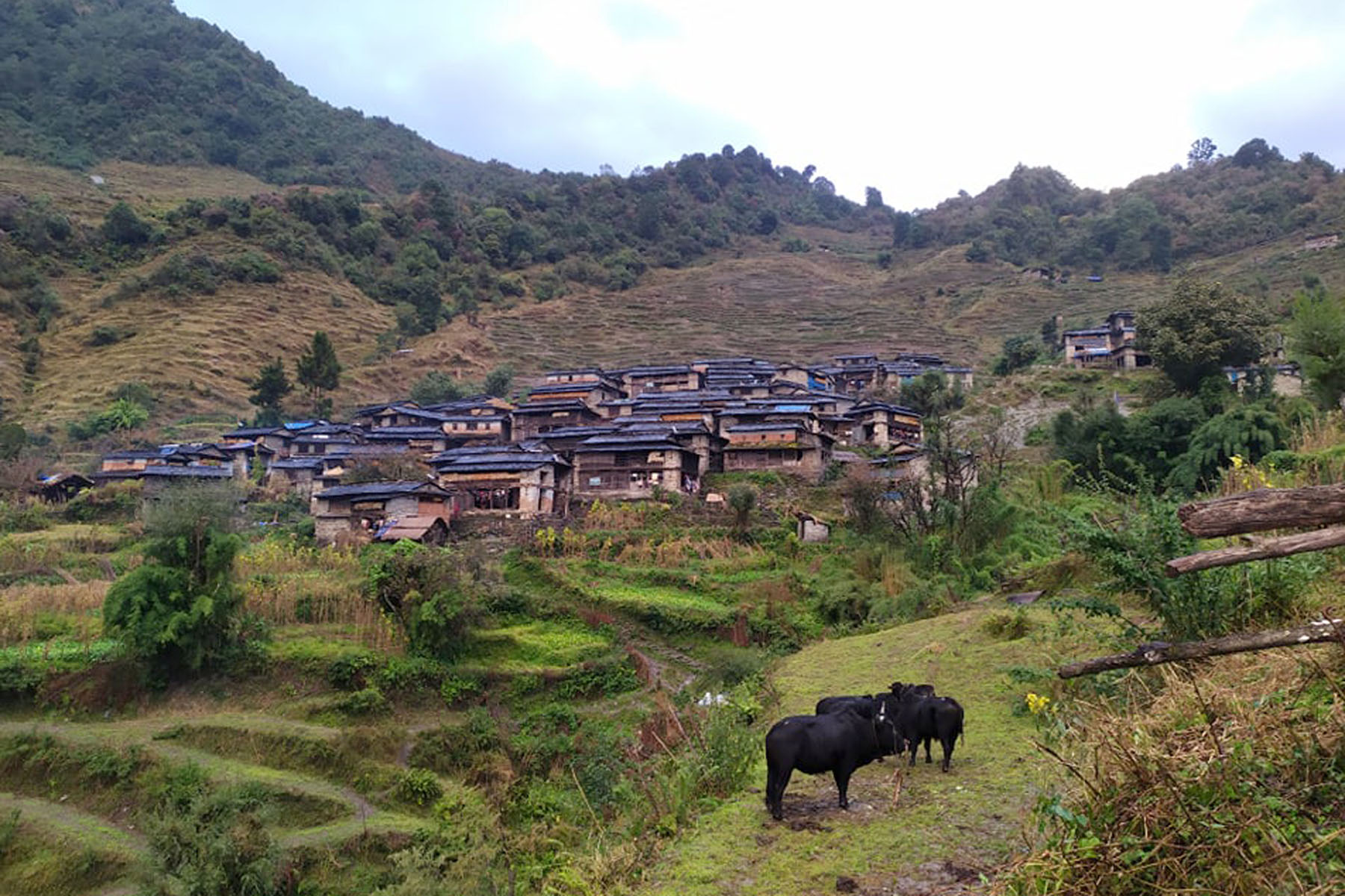 कुमारी गाउँ कुइनेको सुन्दर दृश्य