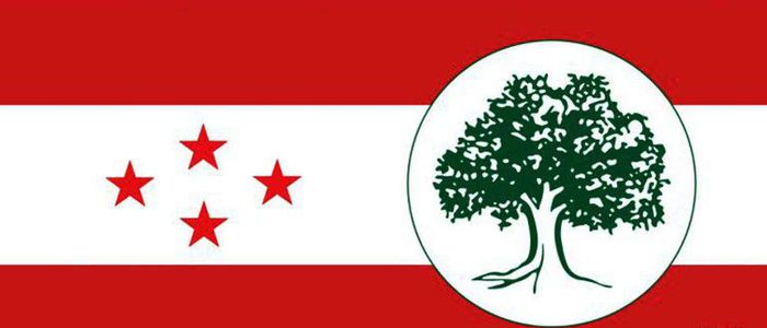 काँग्रेसले असार २ गते सरकारको ध्यानाकर्षण गराउने