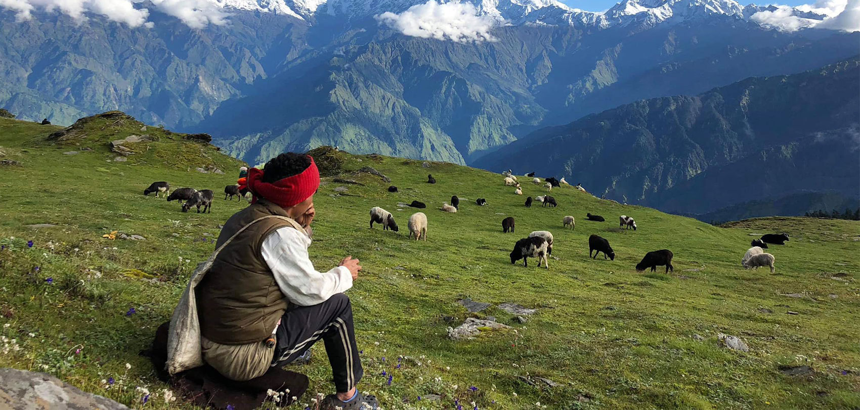 हिमाली पाटनमा भेडीगोठ