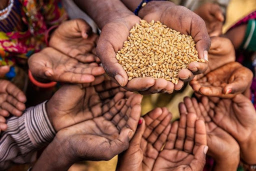 ‘रोग भन्दा भोकको पीडा सहन सकिएन ’