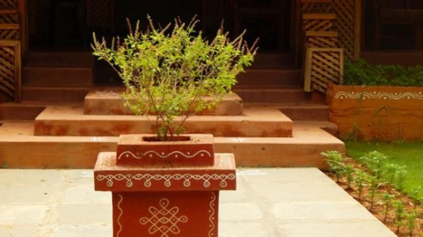 घर–घरमा राखियो तुलसीको दल