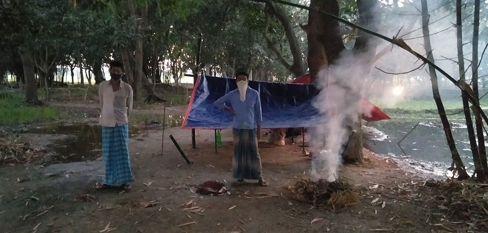 आँपका रूख सुक्दै जाने रोग