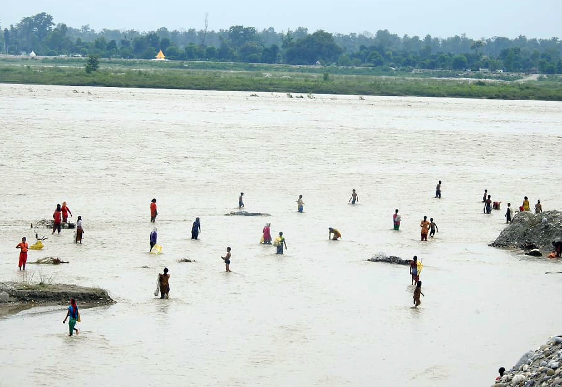 जोखिम मोलेर महाकाली नदीमा दाउरा सङकलन
