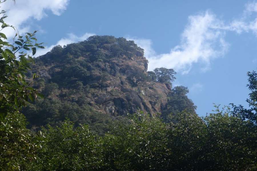 भूक्षय रोक्न तारेभिरमा वृक्षरोपण