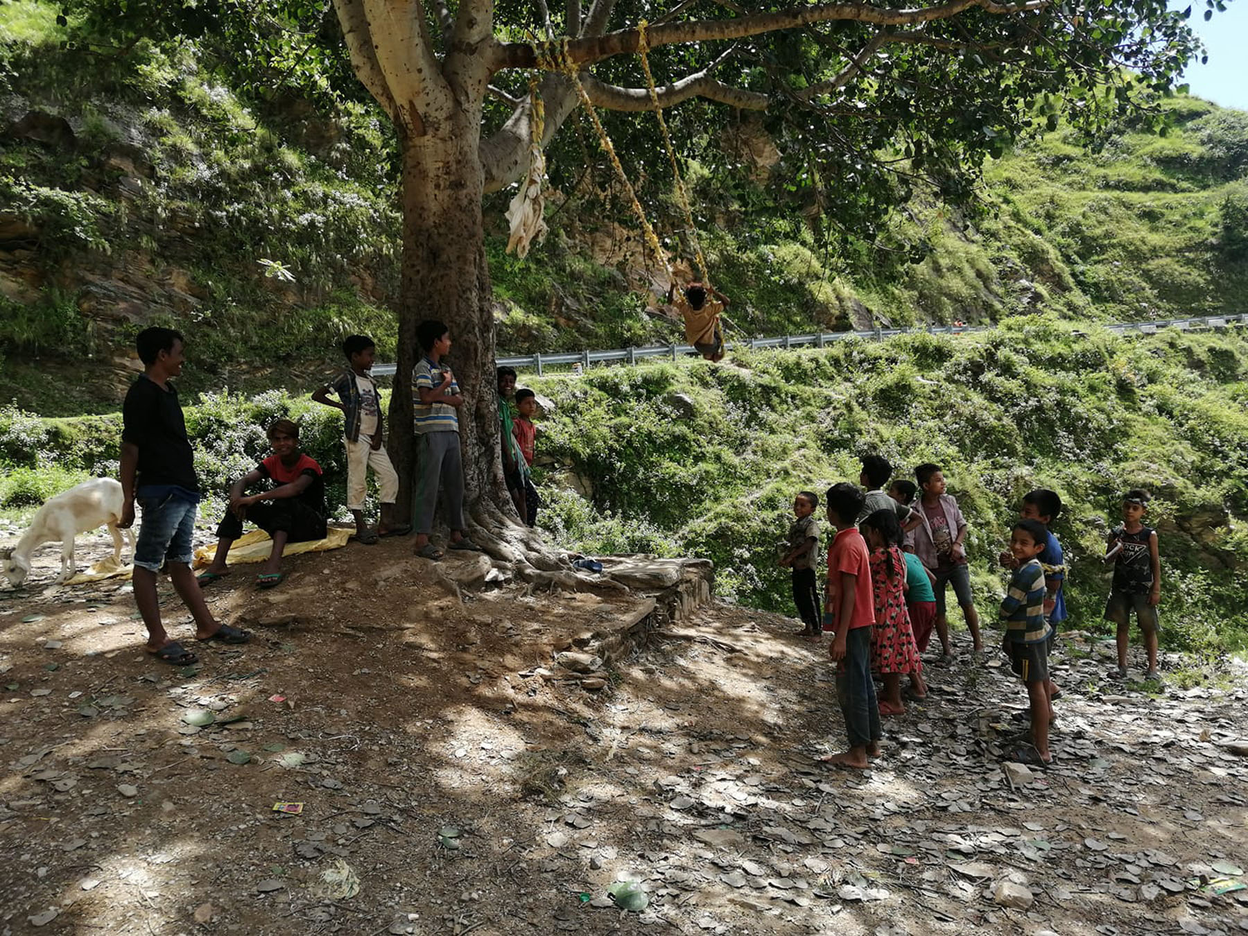 ओल्के पर्वको अवसरमा पिङ खेल्दै बालबालिका