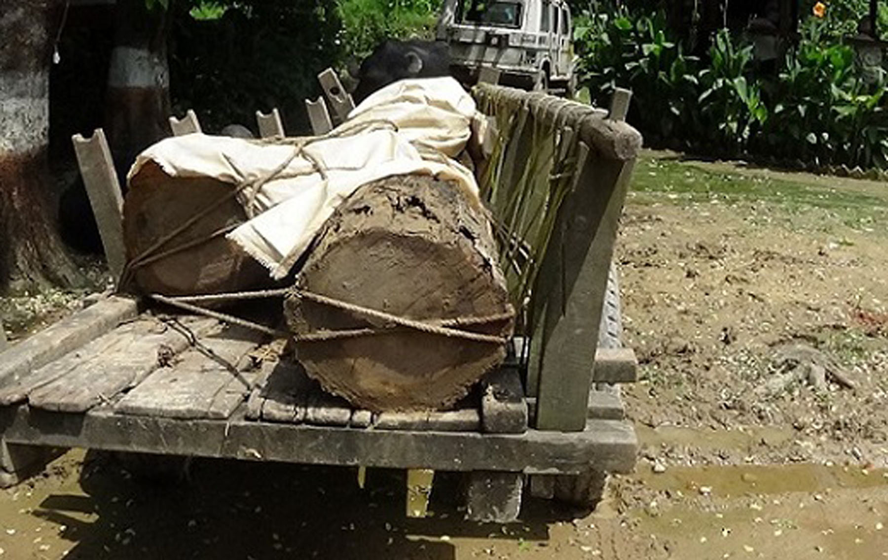 काठसहित तस्करी पक्राउ