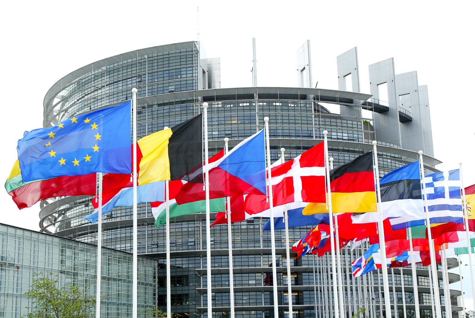European Parliament asks Pakistan to protect women and girls from discrimination and violence