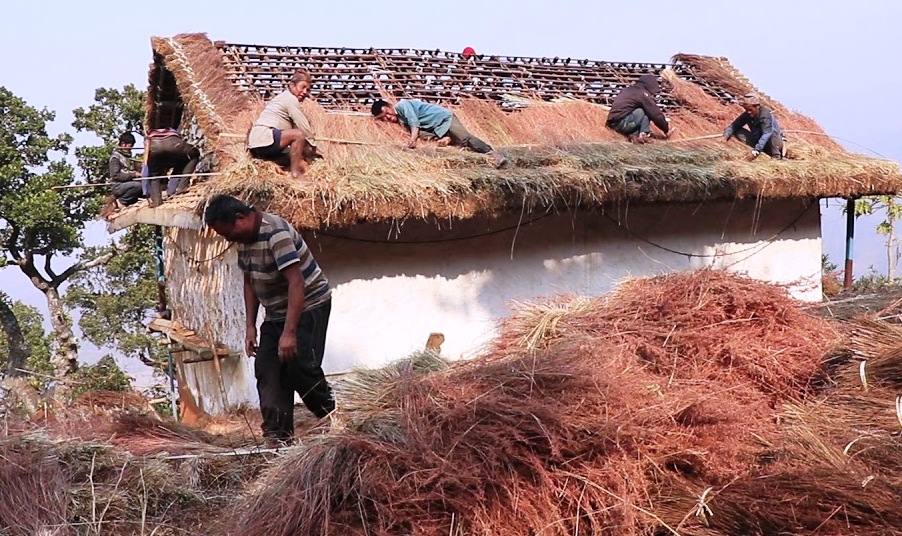 ११० घरमा खरको हटाएर जस्ताको छाना