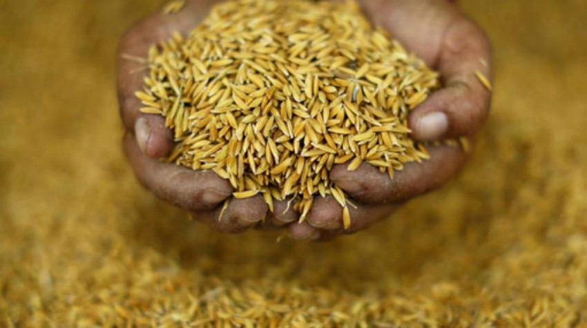 सल्यानमा नौ हजार मेट्रिक टन खाद्यान्न बचत