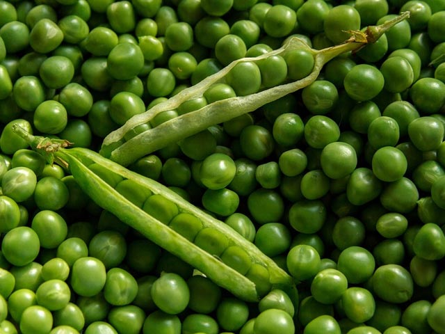 साढे सात क्विन्टल अवैध मटर बरामद