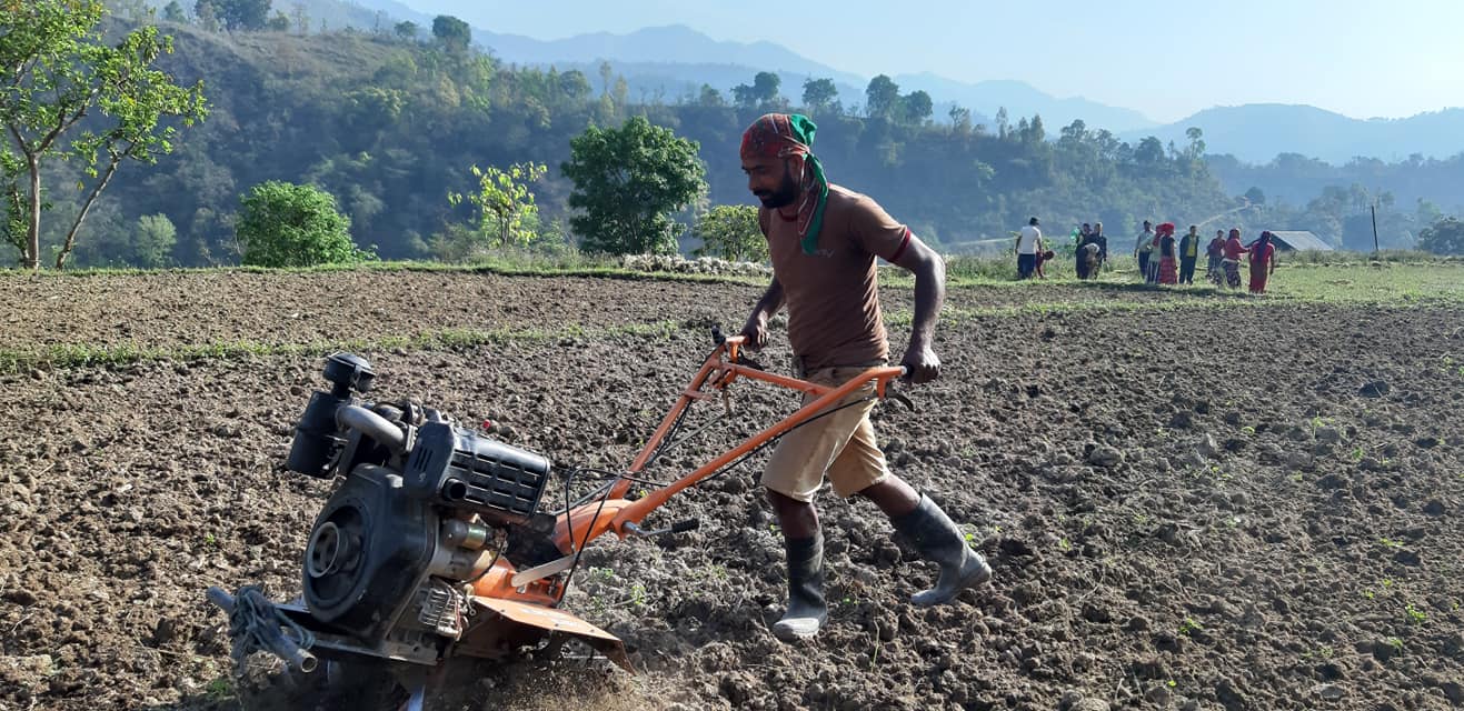 बाँझो जमिनमा खेती गर्नेलाई अनुदान