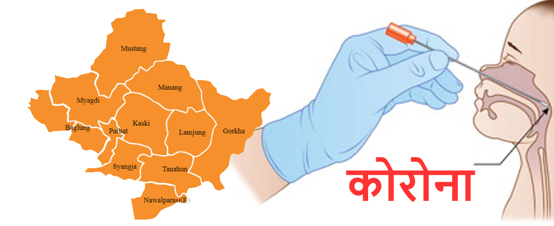 गण्डकीमा १५ जना कोरोना सङ्क्रमित थप