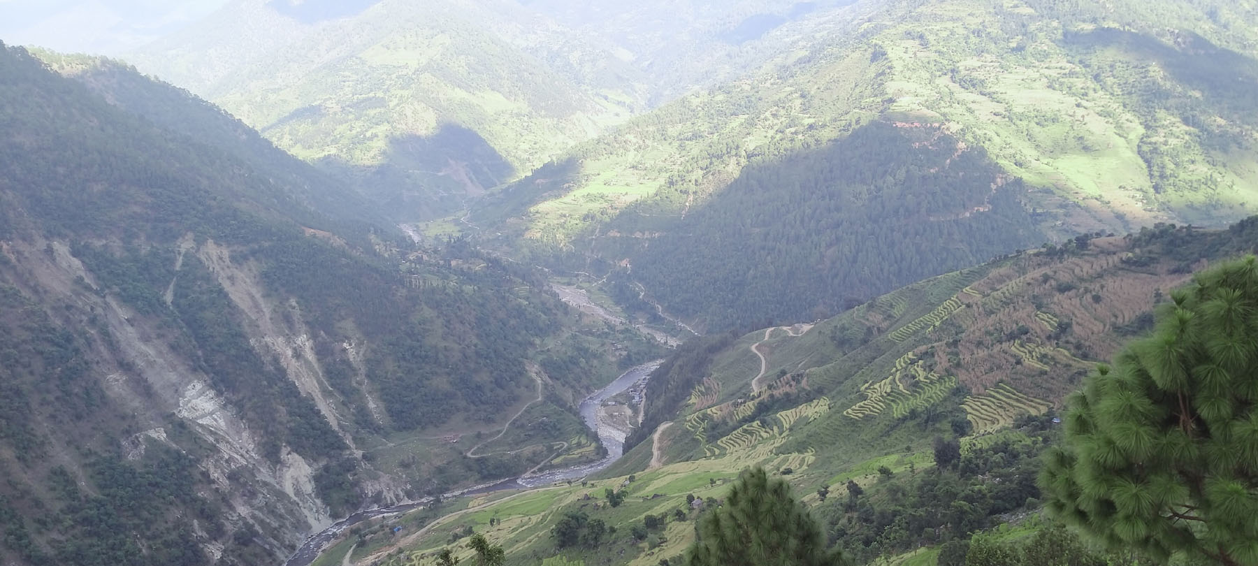 आकाशे पानीको भरमा लगाएको पाखे धान