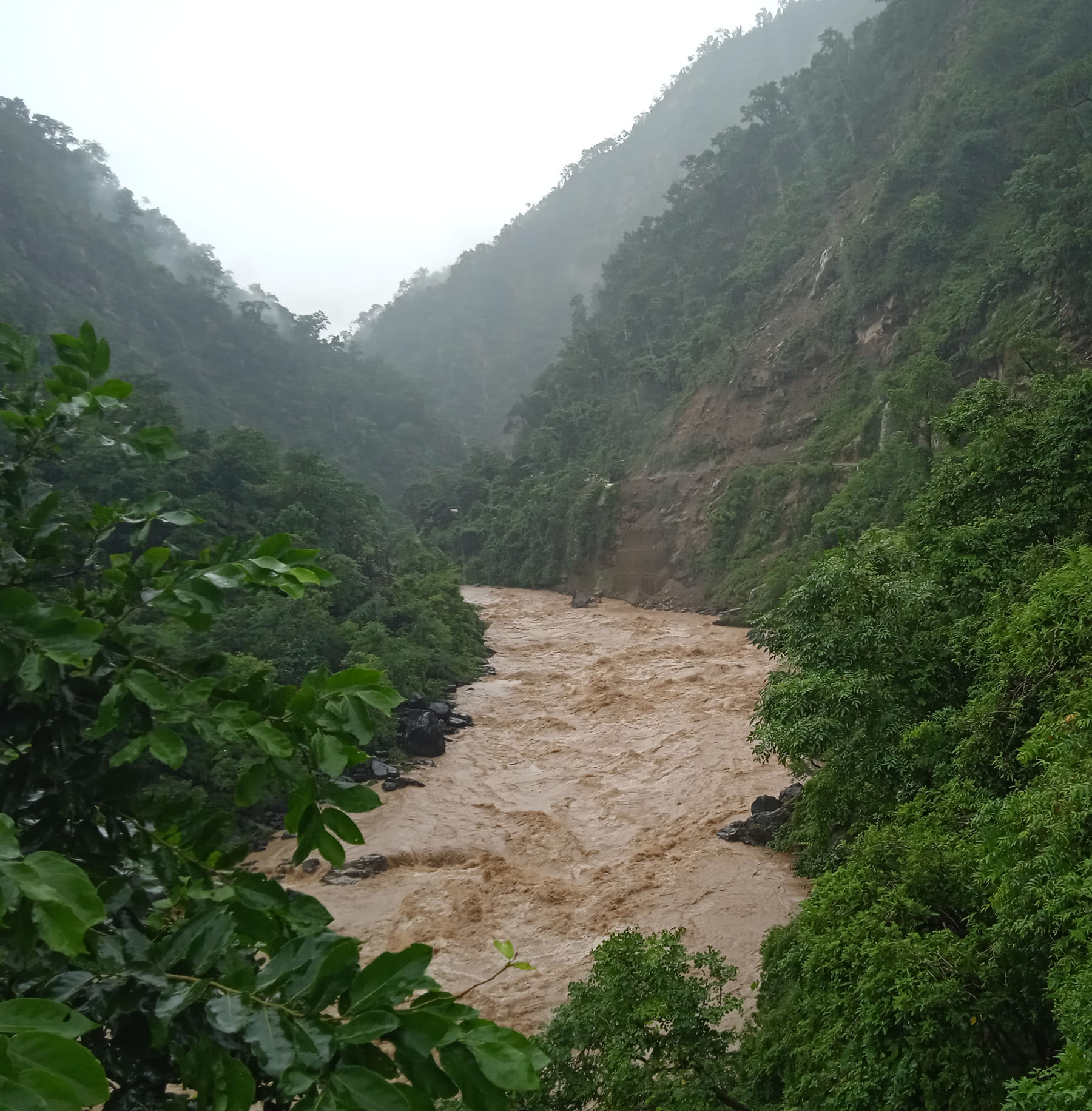 अविरल वर्षाका कारण खोलामा पानीको सतह बढदो मात्रामा
