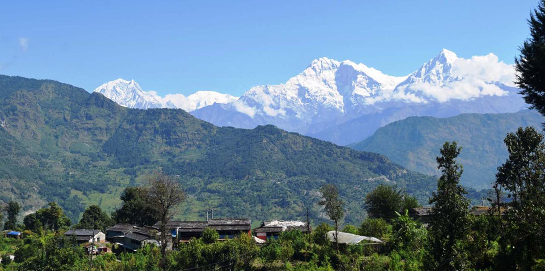 तोरीपानीबाट देखिएको मनोरम हिमाल