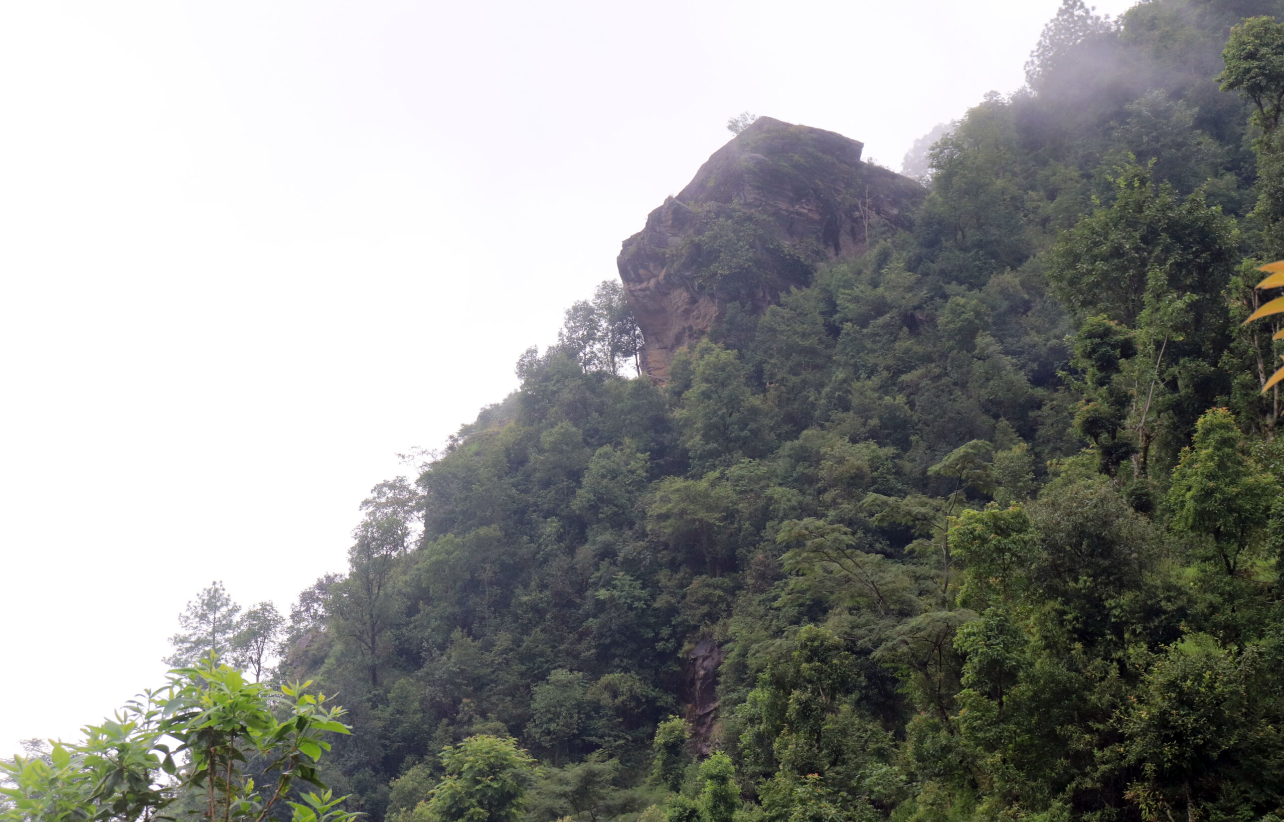 ढुङ्गा हाल बग्न थालेसँगै ४६ परिवार विस्थावित