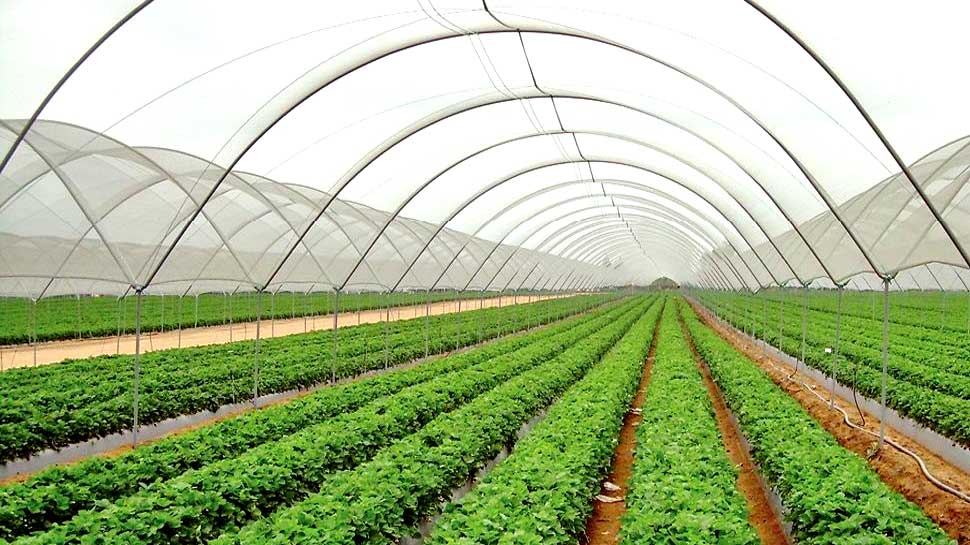 व्यावसायिक खेतीमा युवा बढ्दो आकर्षण