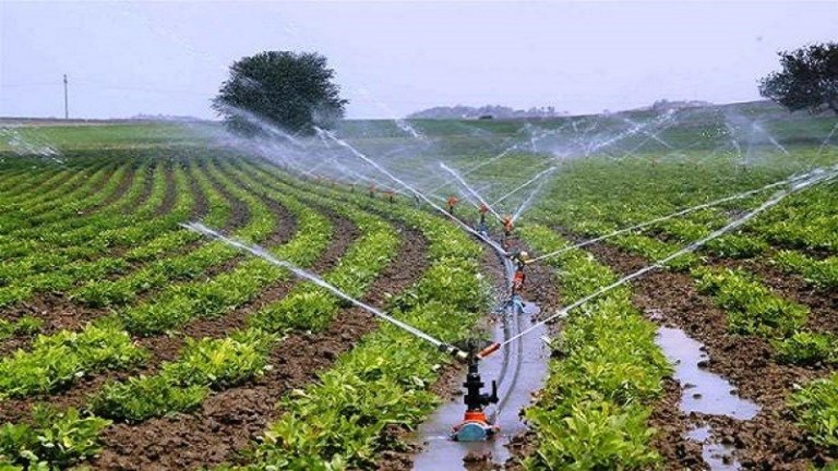 बैंकको जागिर छाडेर व्यावसायिक कृषिमा