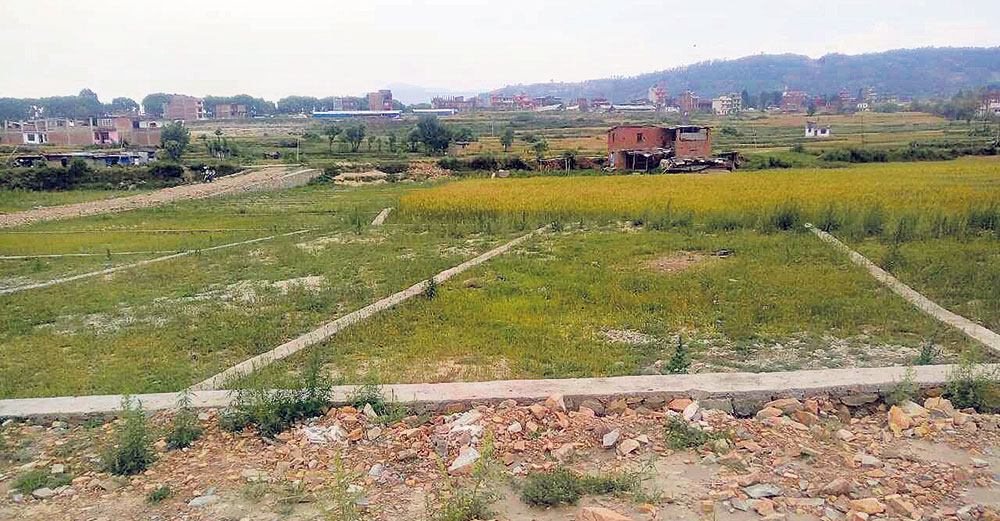 झरना साहित्यिक परिवारलाई एक कठ्ठा जमीन
