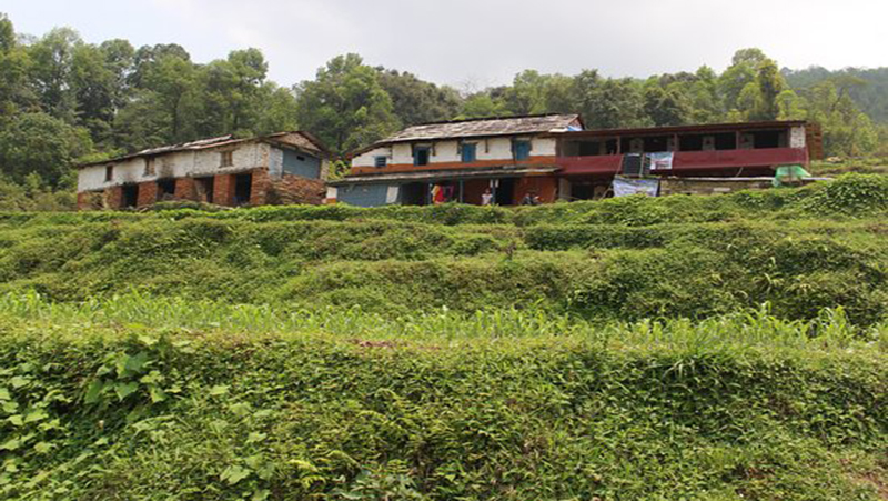 पर्यटकहरुको आगमन हुन छाडेपछि होमस्टे व्यवसायी कृषिमा जुट्दै