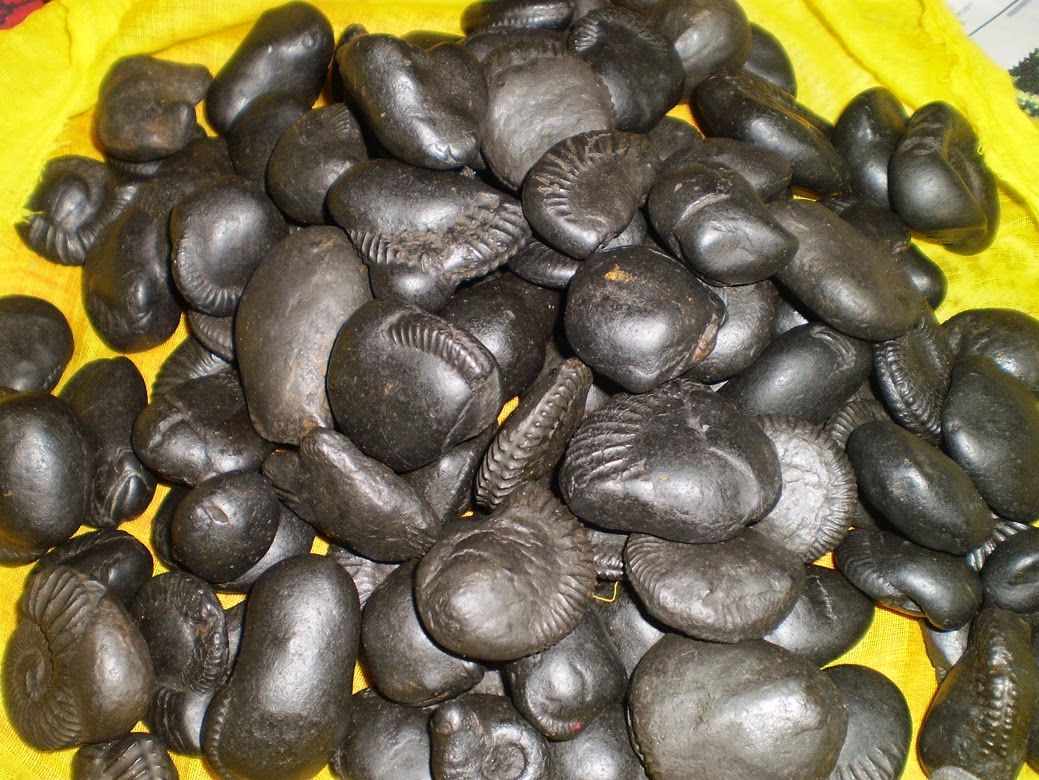 देवघाटमा शालिग्राम संरक्षण शुरु