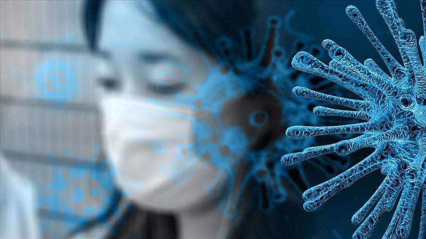 World sees record weekly number of Covid-19 cases, deaths down: WHO