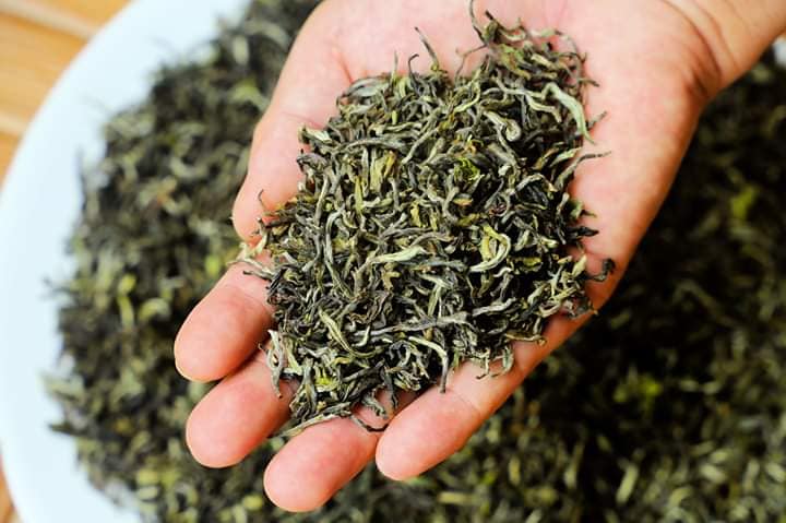 समयमा शुरु हुन सकेन चिया परीक्षण केन्द्र