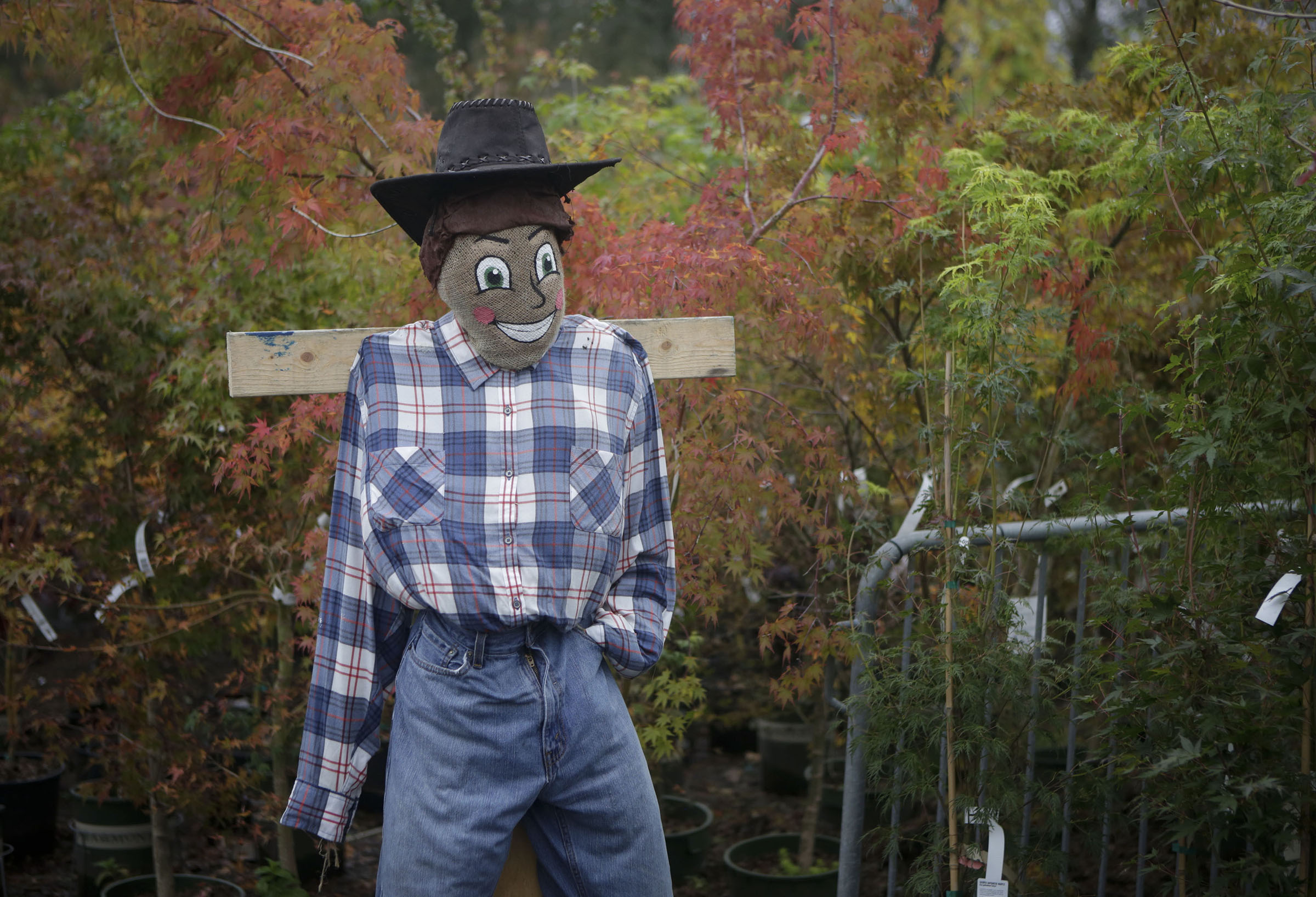 CANADA Annual Scarecrow Festival