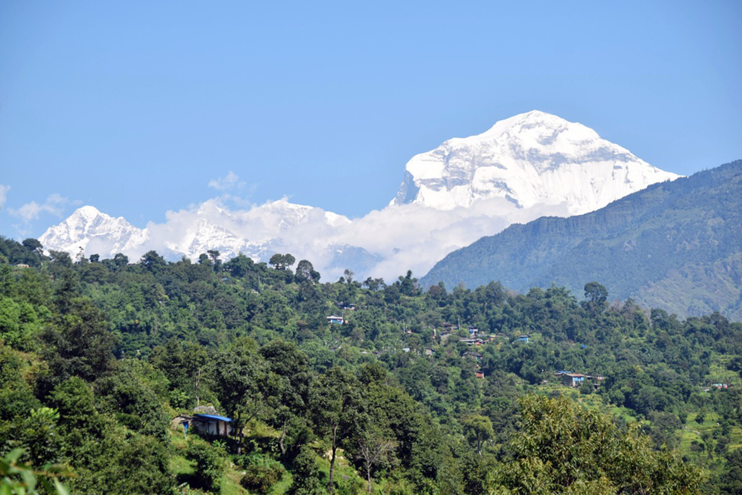नेप्टेचौरबाट देखिएको धवलागिरि हिमाल