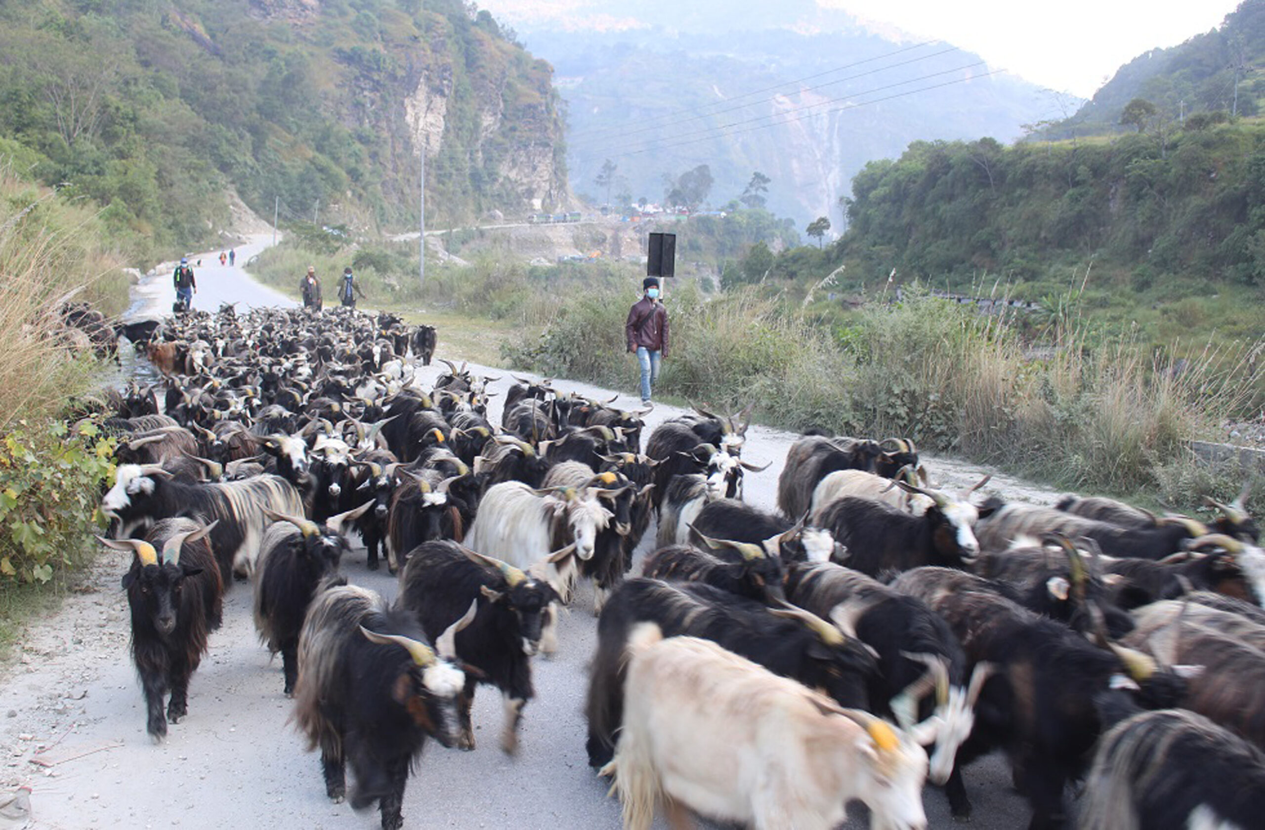 मुस्ताङबाट बेनी आइपुगे च्याङग्रा