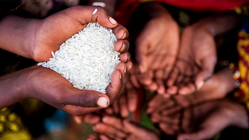 खाद्यान्न अभाव हुने जिल्लामा चामल बिक्री गर्न समस्या
